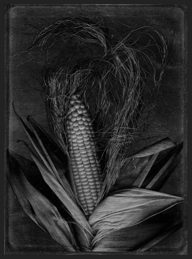 corn